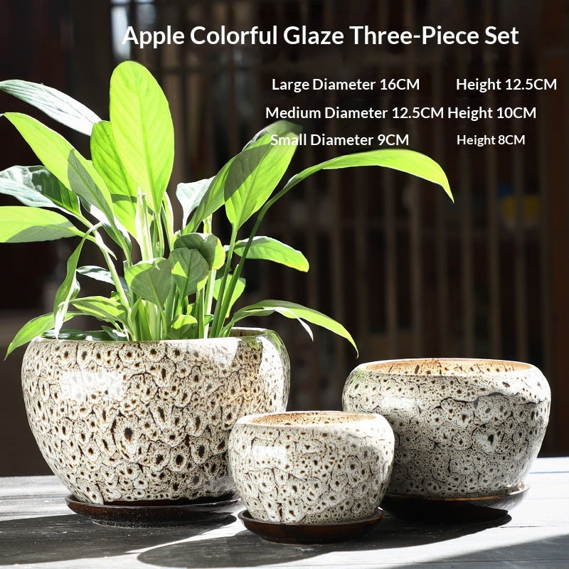 Minimalist Succulent Pot Set - Breathable, Durable Terracotta Planters with Trays