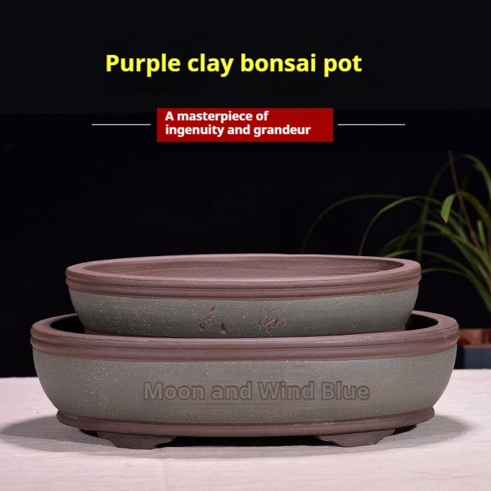 Large Purple Sand Flowerpot - Garden & Household Decoration