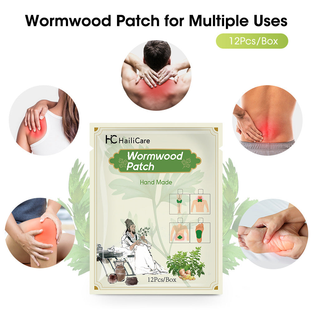 Herbal Knee, Lumbar, Cervical & Foot Patch Set for Pain Relief - 12 Patches