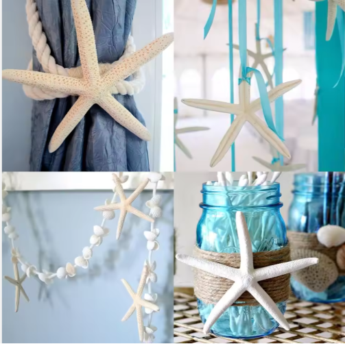 20 PCS Natural Real Starfish for DIY Crafts & Wedding Decor