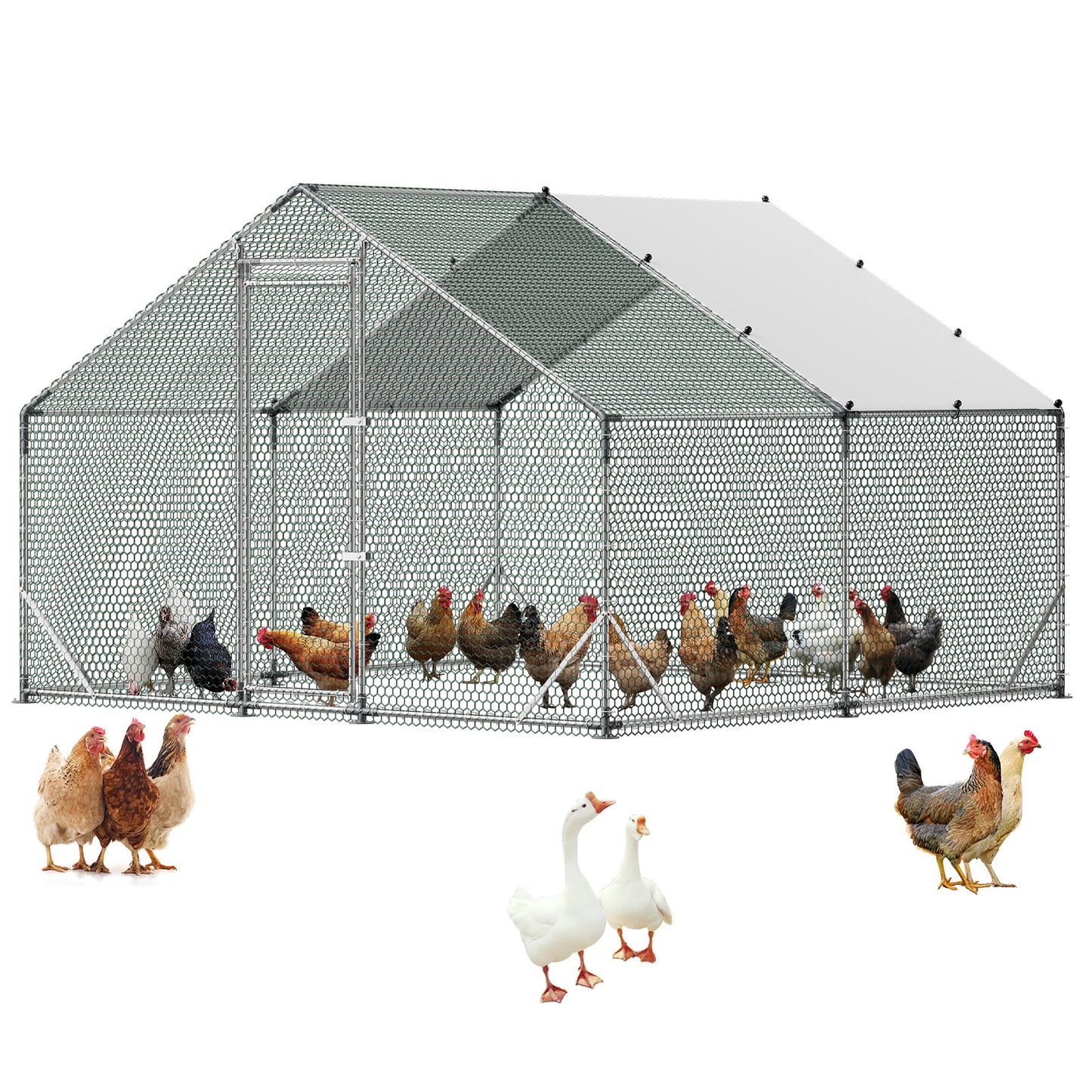 Large Outdoor Metal Chicken Coop with Waterproof Cover and Walk-In Run - 9.8 x 9.8 x 6.6 ft
