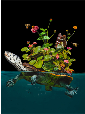 Water Animal Diamond Painting Kit Frog Square Full Cover Craft Set
