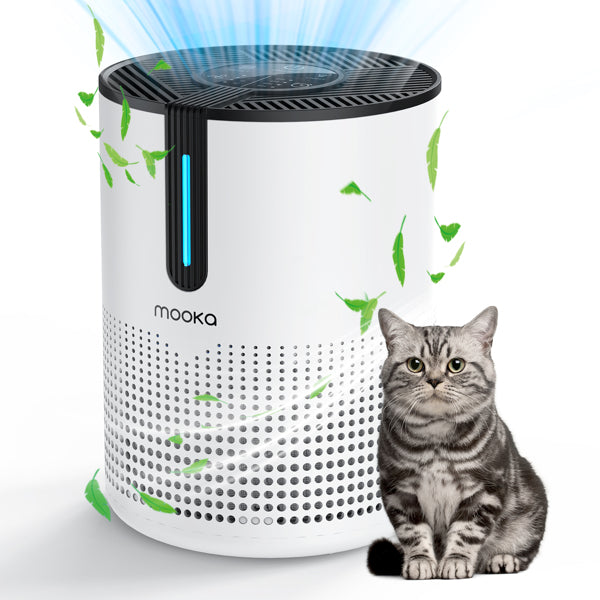 Air Purifier with HEPA Filter - 475 Sq.Ft. Coverage, 4 Speeds