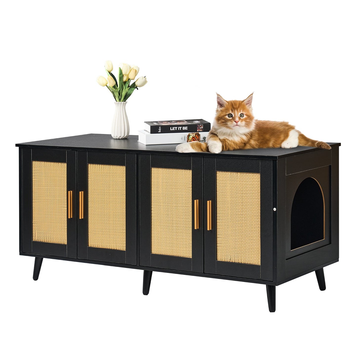 Wooden Cat Litter Box Enclosure with Hidden Design & 2 Rooms - Black