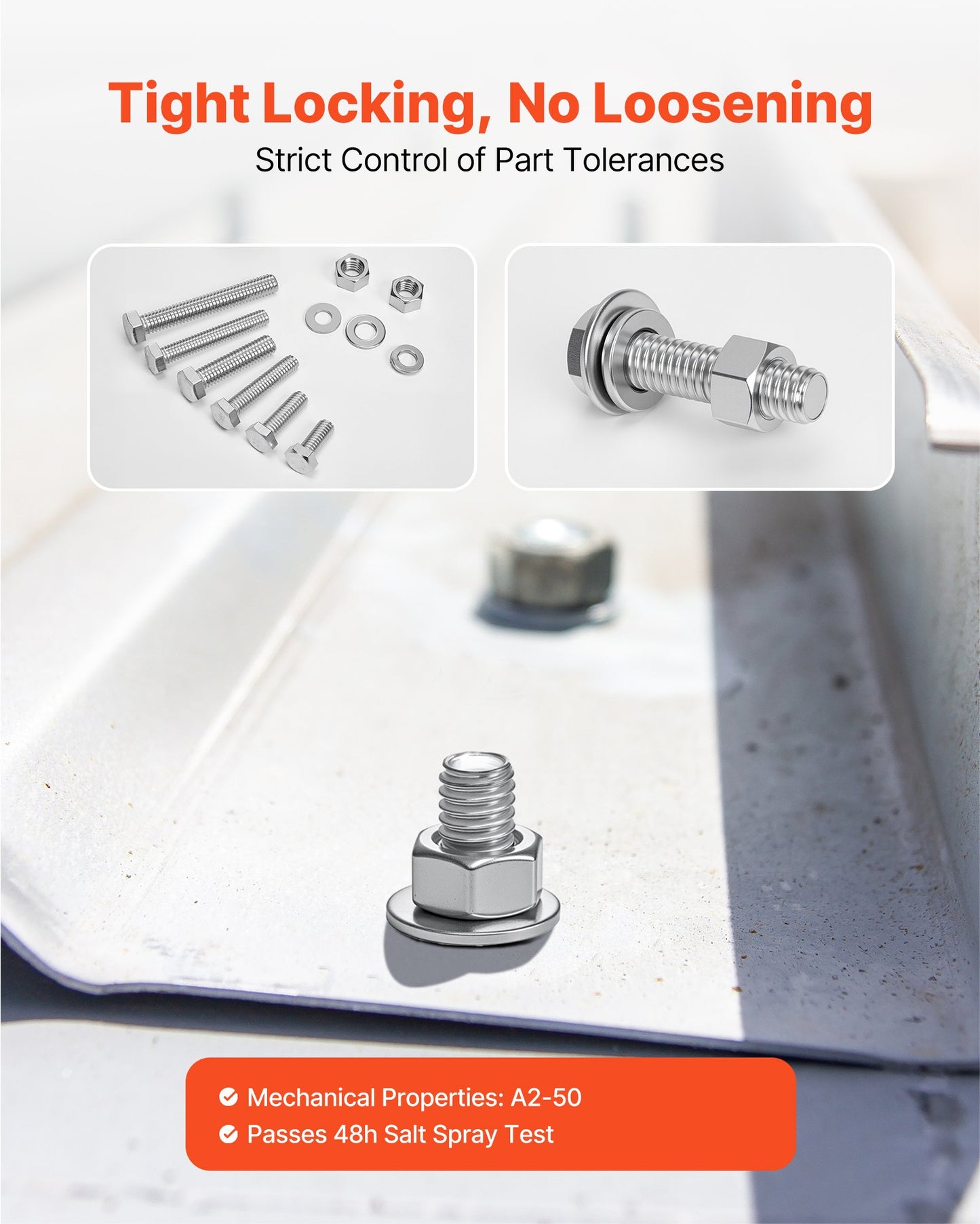 246-Piece Stainless Steel Bolts Nuts Set for Furniture Repairs, Assortment Kit