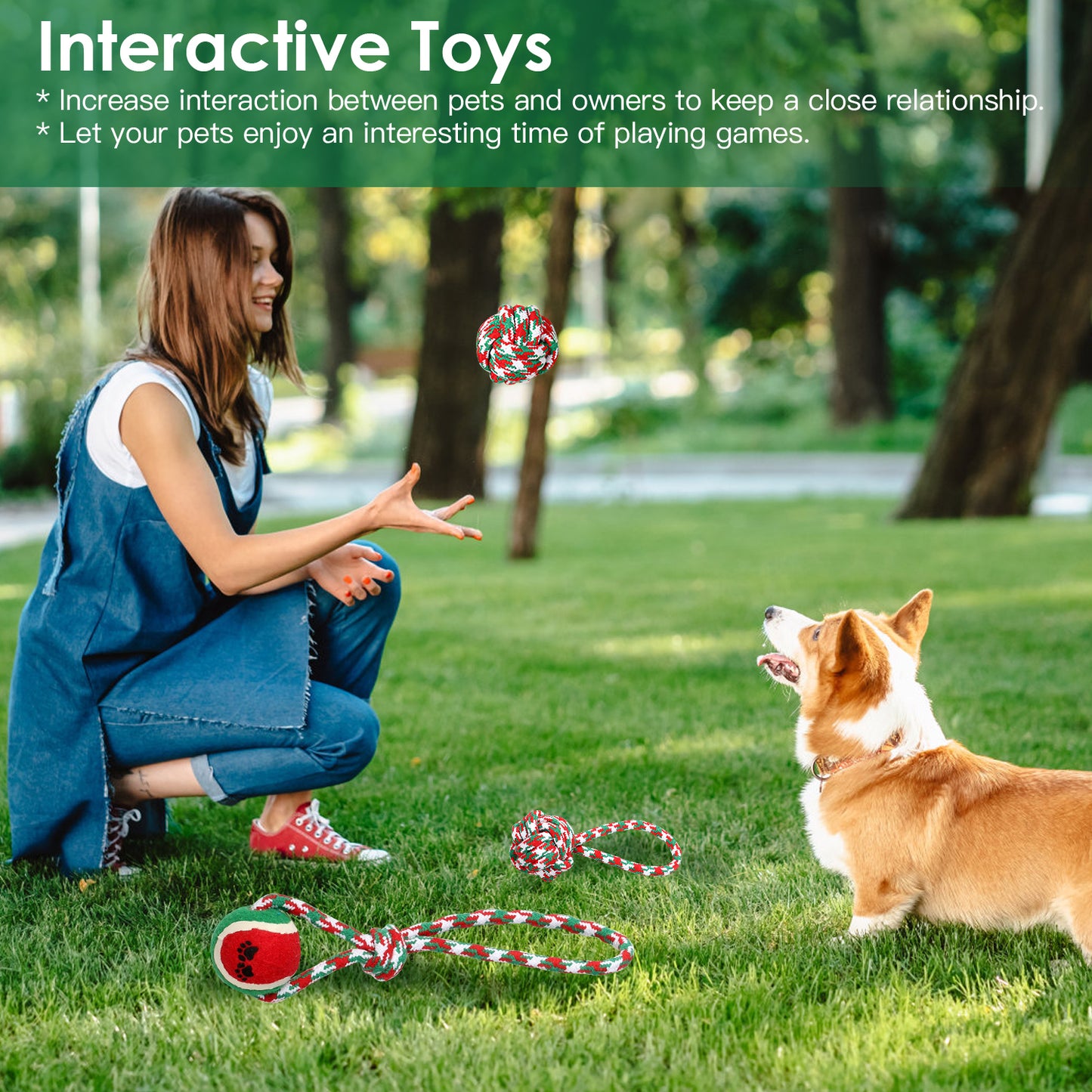 Christmas Dog Rope Chew Toys Set - Interactive Puppy Teething Toys for Small & Medium Dogs