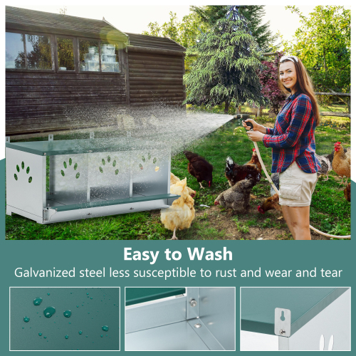 Galvanized Steel Chicken Nesting Box with 3 Compartments - Easy Assembly, Green