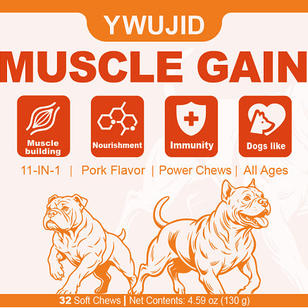Pet Muscle Support Soft Chew Tablets for Active Pets — CJ