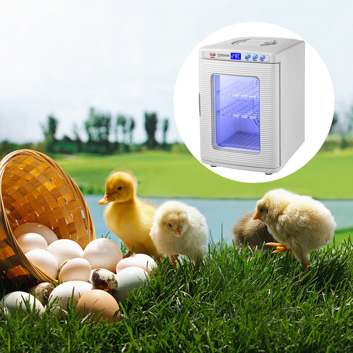 White Reptile Incubator 25L Digital Egg Incubator with Temperature Control