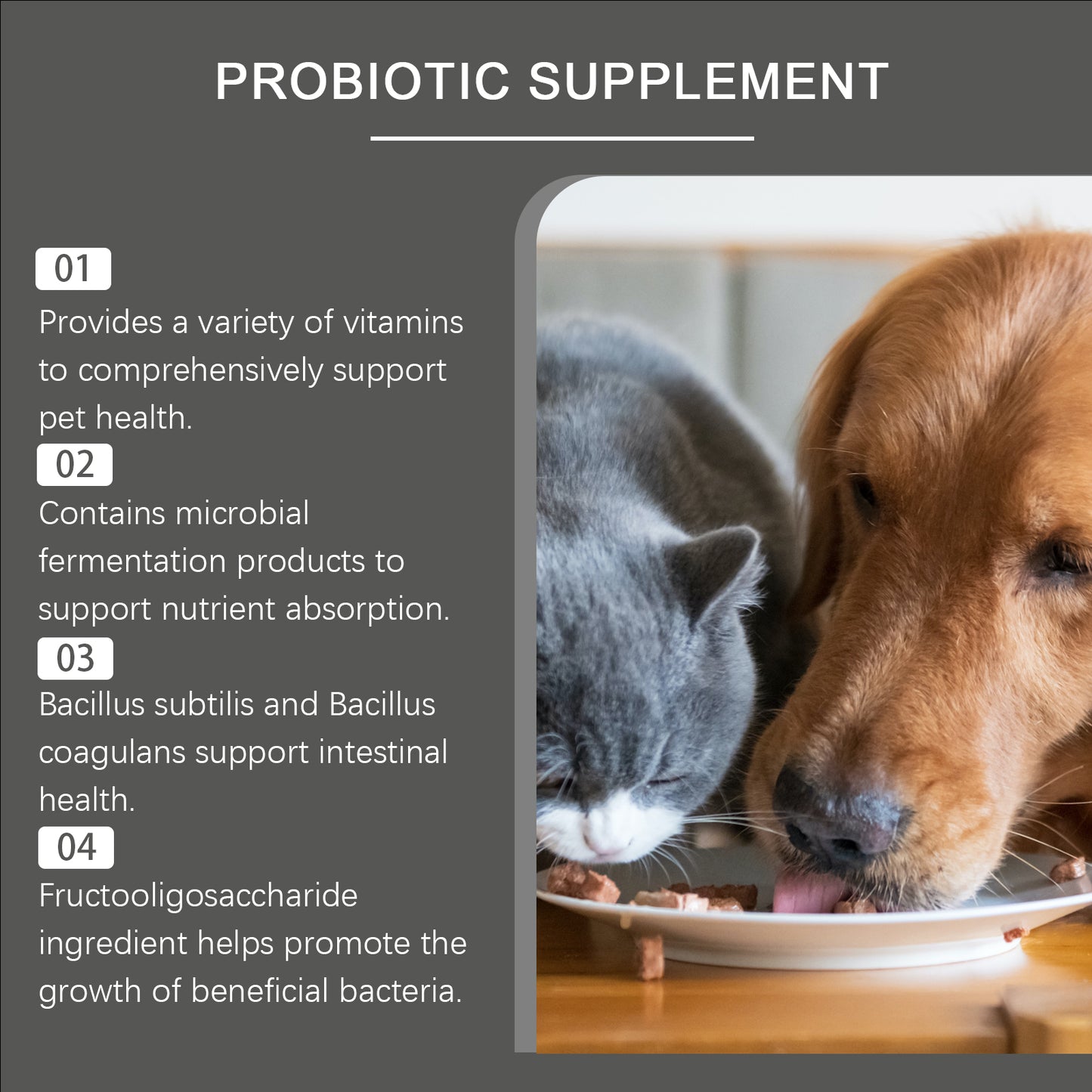 Pet Probiotic Chewable Tablets for Dogs & Cats - Digestive & Immune Support, 80 Count