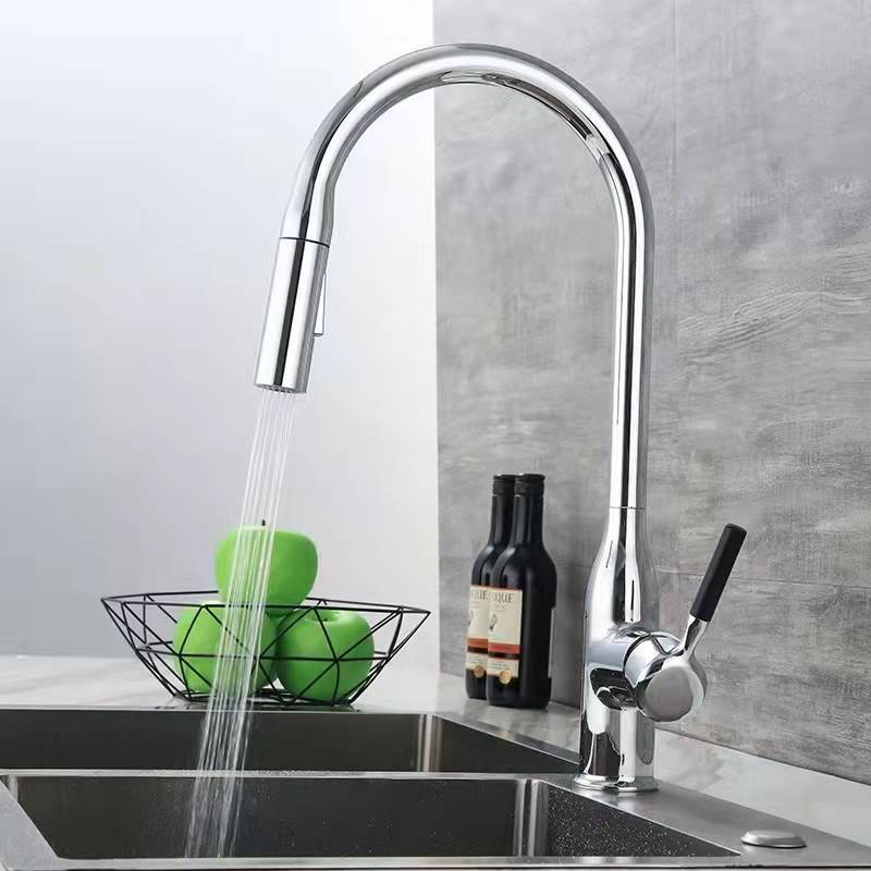 Copper Kitchen Faucet with Pull-Out Spout Double Water Outlet Rotatable