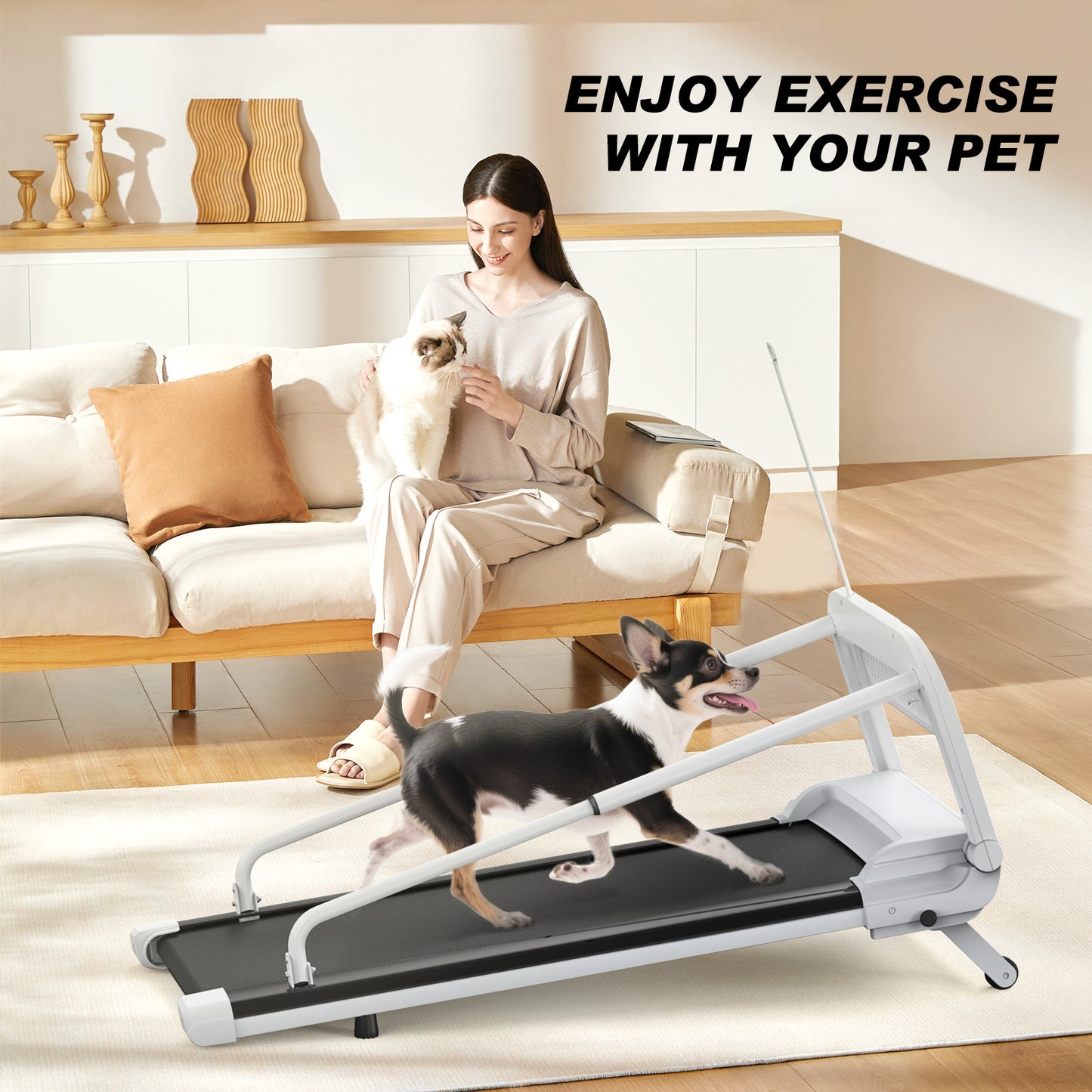 Quiet Adjustable Speed Dog Treadmill for Small & Medium Pets - Foldable & Easy Move