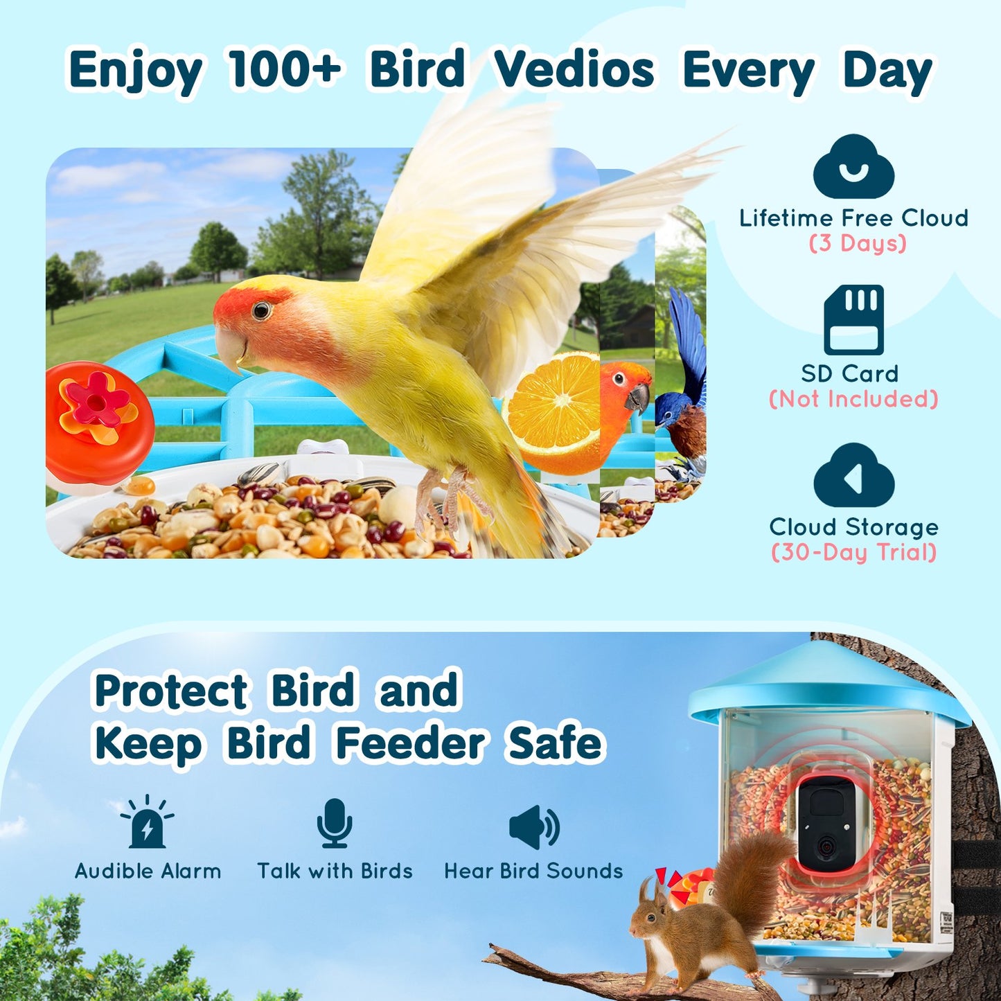 Smart Bird Feeder with Camera AI Identification 10,000+ Bird Species Solar Powered