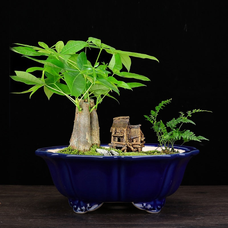 High Temperature Crackle Glaze Purple Sand Flowerpot for Indoor & Outdoor Gardening