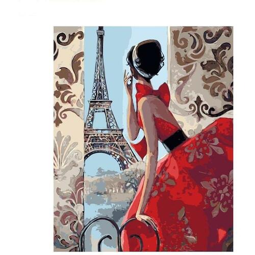 DIY Painting By Numbers Kit - Pink Dress, 40x50cm Art & Craft