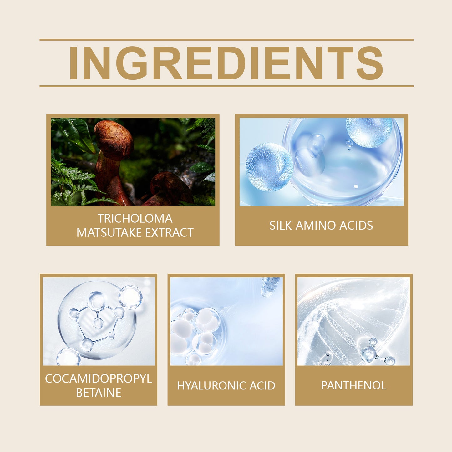 Gentle Amino Acid Facial Cleanser with Matsutake Extract & Hyaluronic Acid