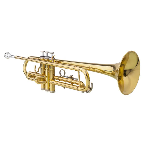 Adjustable Trumpet Gloves Set - Golden