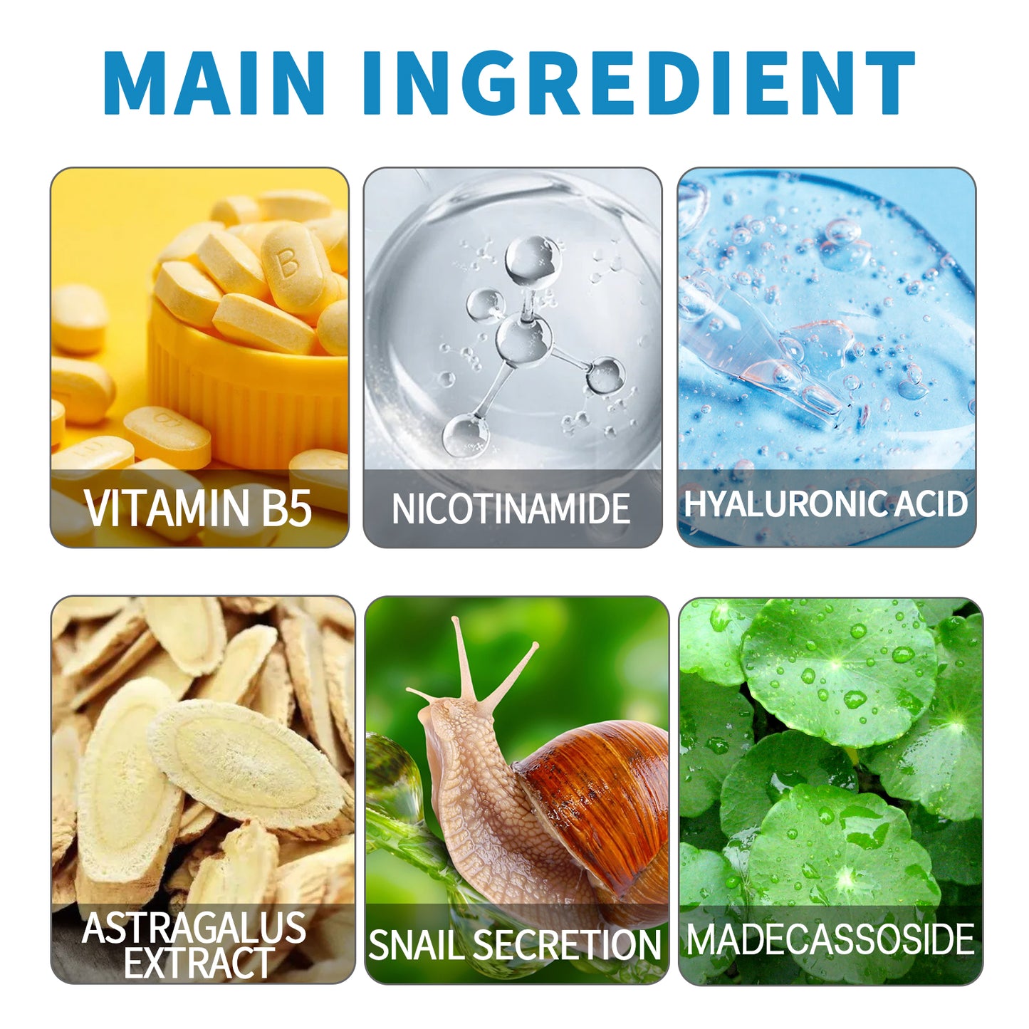 Vitamin B5 Facial Essence - Moisturizing Anti-Aging & Spot Corrector Serum
