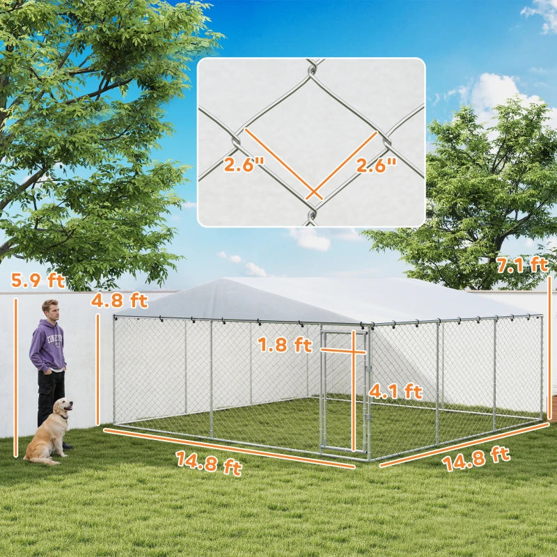 Large Outdoor Dog Kennel - Silver Heavy-Duty Chain Link