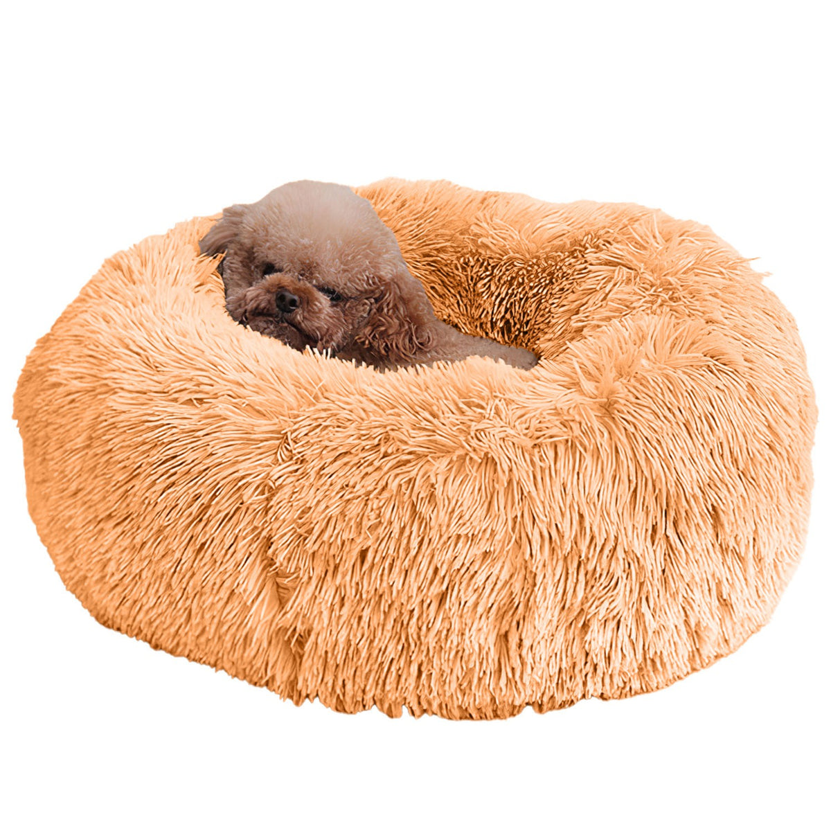 Soft Warm Plush Dog & Cat Bed with Supportive Rim and Non-Slip Bottom