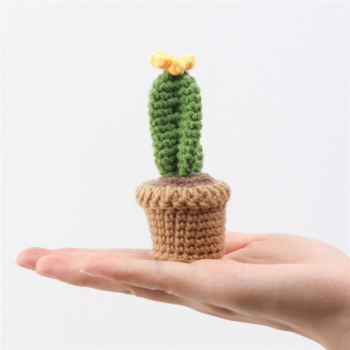 Handmade Crochet Love-Shaped Cactus Ornament Set Indoor Home Decor