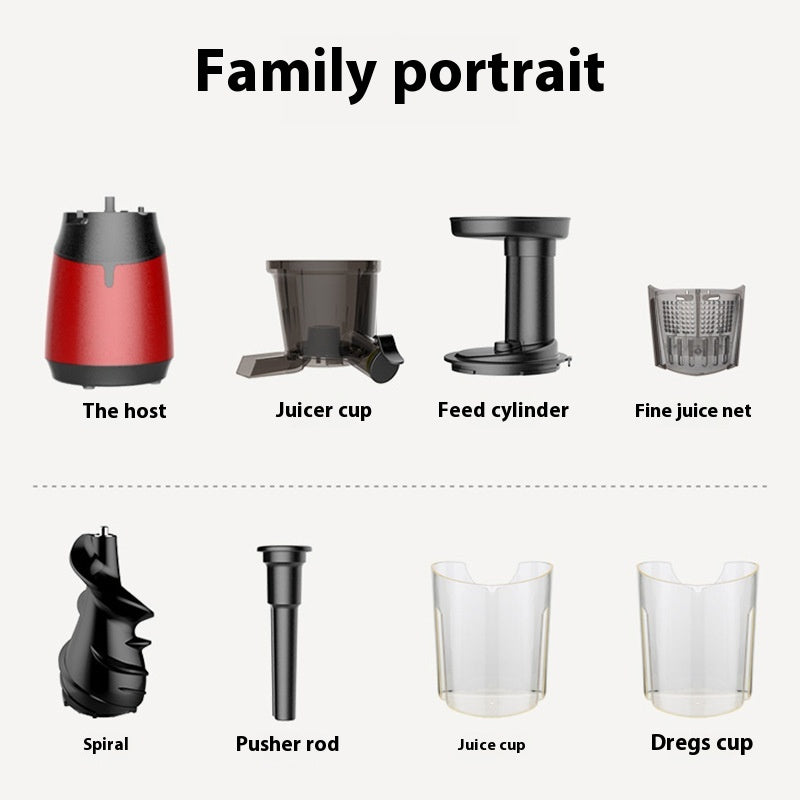 Low Speed Fruit and Vegetable Juicer - Multifunctional Kitchen Juicer Machine