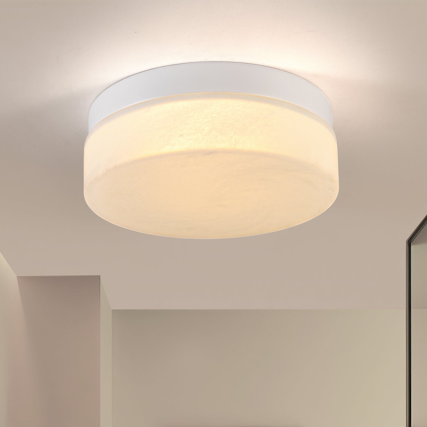 12 Inch LED Flush Mount Ceiling Light - 24W Round Fixture for Home