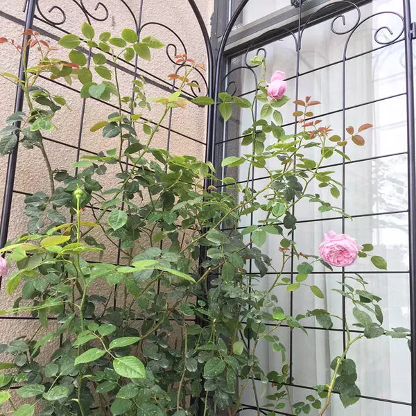Metal Garden Trellis for Climbing Plants - 86.7" x 19.7" - Black