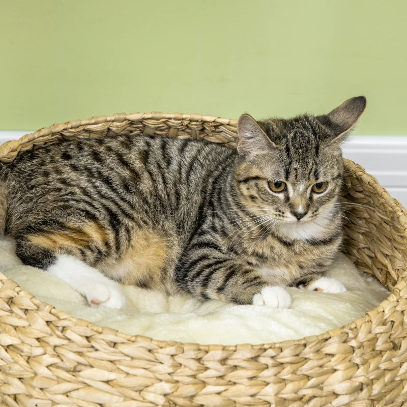 Elevated Cat Bed with Sisal Scratching Post and Toy - Small Modern Cat Tree, Beige Cream