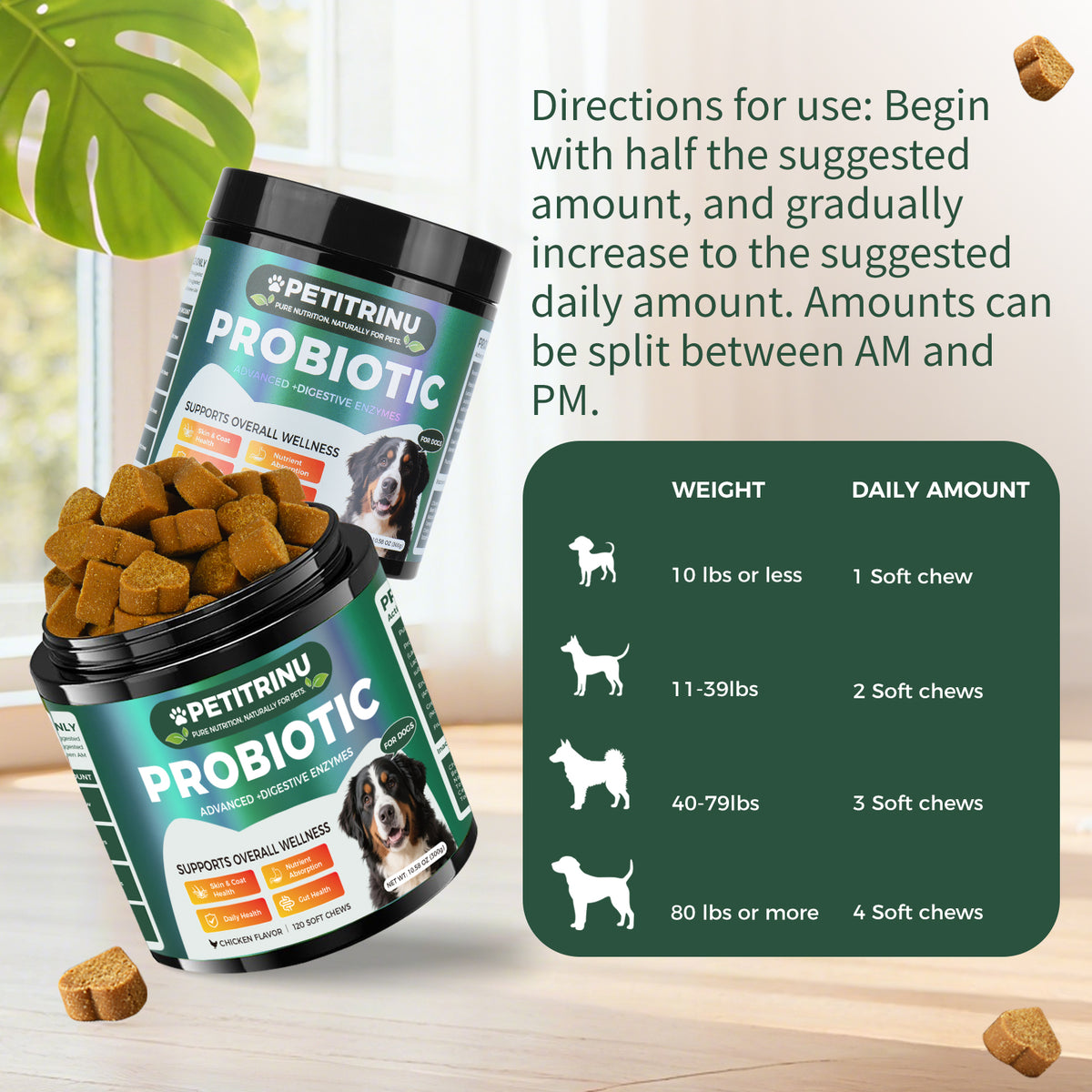 Probiotics for Dogs - Pet Digestive Supplements, 60 Capsules