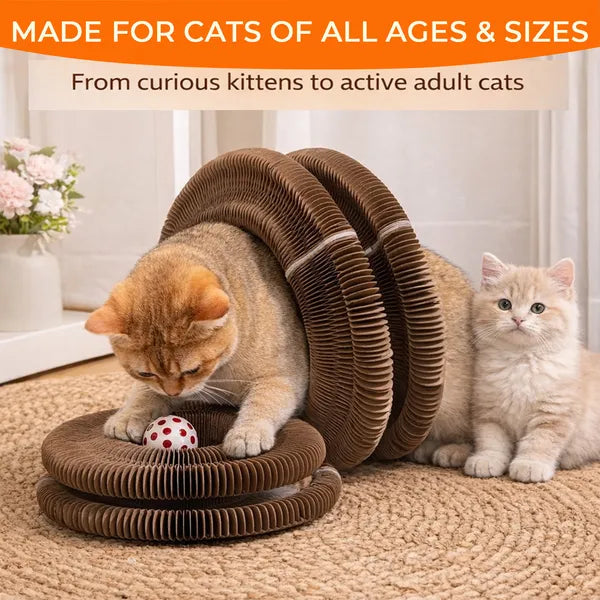 Foldable Cat Scratcher Toy with Ball - Interactive Kitty Play & Rest Bed