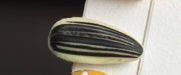 Mini Food Clip Set - Simulation Rice, Eggs, Corn, Melon Seeds, Cute Food Accessories