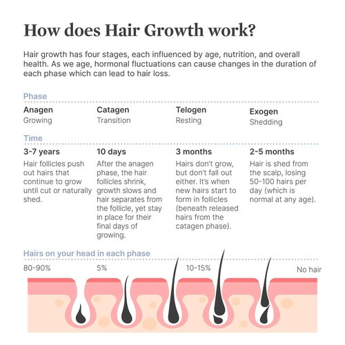 Better Not Younger Superpower™ Thickening Hair Patches for Women 40+ – Hydrogel Hair Regrowth Treatment for Thinning Hairline & Temples. Infused with Capixyl™ & Plant Extracts for Thicker, Fuller Hair