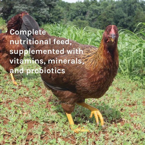 New Country Organics | Corn-Free Classic Layer Chicken Feed for Laying Hens | Corn-Free and Soy-Free | 17% Protein | Certified Organic and Non-GMO Chicken Food | 50lbs Bag
