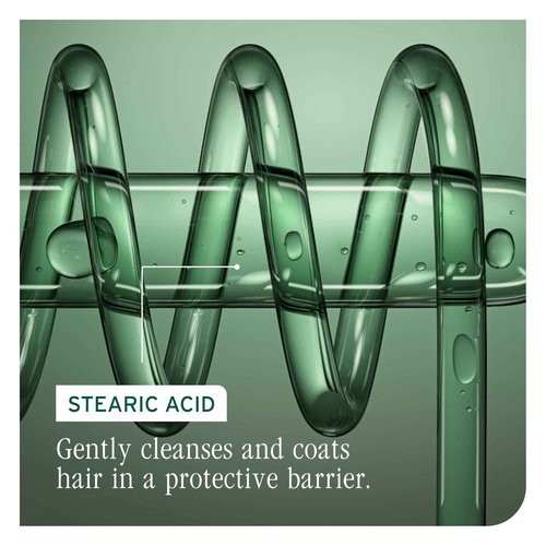 Biolage Color Last Shampoo & Conditioner Set | Helps Protect Hair & Maintain Vibrant Color | For Color-Treated Hair | Paraben & Silicone-Free | Vegan