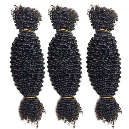 Afro Kinky Curly Bulk Human Hair for Twists/Braids/Permanent Micro Locs Bulk Human Hair Extensions For Braiding 100g/Bundles 20inch Natural Black