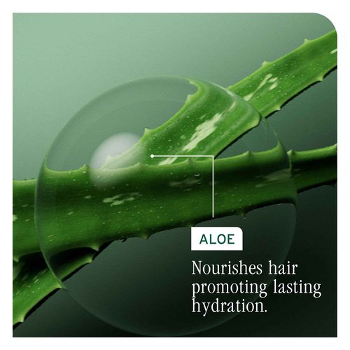 Biolage Hydra Source Shampoo & Conditioning Balm | Hydrates & Moisturizes Dry Hair | Helps Repair Split Ends | For Dry Hair | Salon Shampoo | Weightless, Soft Finish | Vegan | Paraben & Cruelty-Free