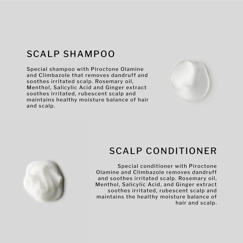 SACHAJUAN Scalp Shampoo and Conditioner Set | Rosemary Oil to Soothe, Balance & Hydrate Dry Flaky Scalp | Lightweight Hydration & Scalp Relief | Vegan & Paraben-Free | Pack of 2 (8.4 oz)