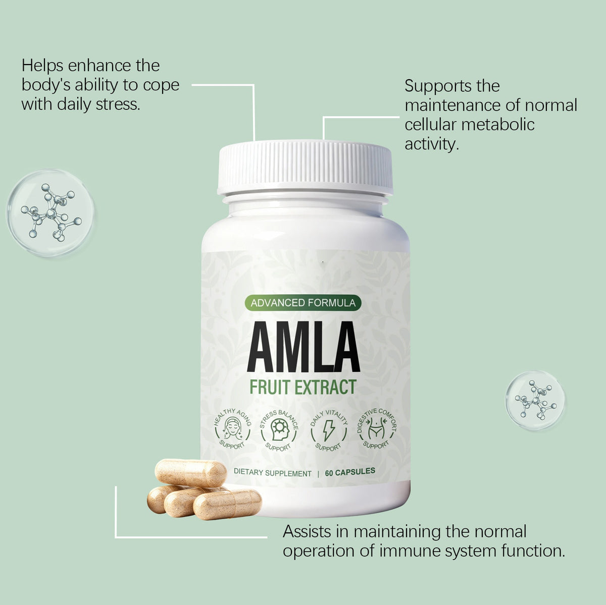 Balanced Emblica Extract Nutritional Supplement Capsules - 60 Count