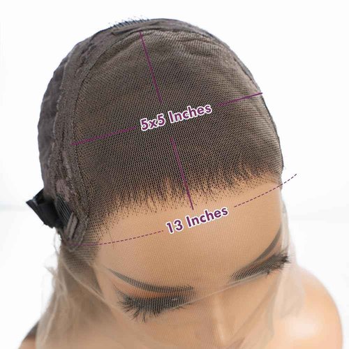 DÉBUT Ombre Highlight Brown Glueless Wigs Human Hair Pre Plucked Straight Hair Lace Front Wigs 5x5 HD Lace Closure Wig for Women Daily Use 18 Inches