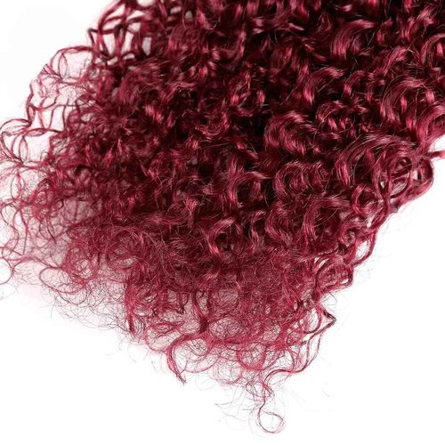 Ailabi Brazilian Burgundy 99J Human Hair Bundles 12 14 16 Inch Water Wave Curly Bundles Human Hair 12A Unprocessed Virgin Hair Weave for Black Women