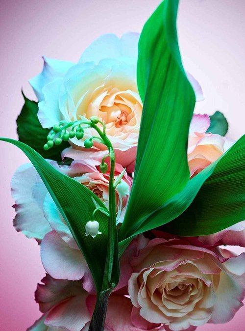 Bvlgari Rose Goldea Blossom Delight for Women - 1.7 oz EDP Spray