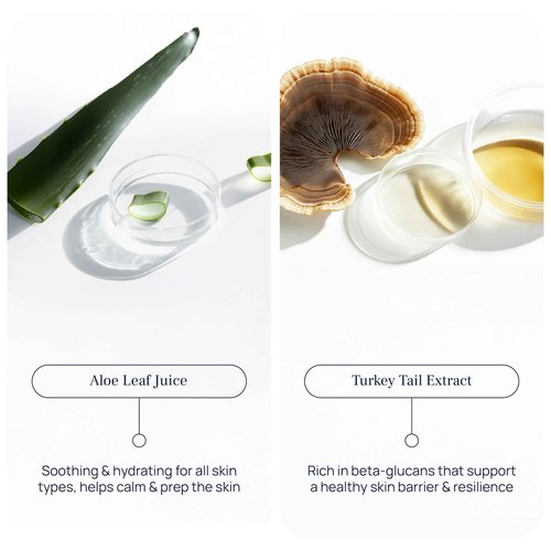 Pureance Deep Restore Ritual - Organic Bakuchiol Serum & Hydrating Serum