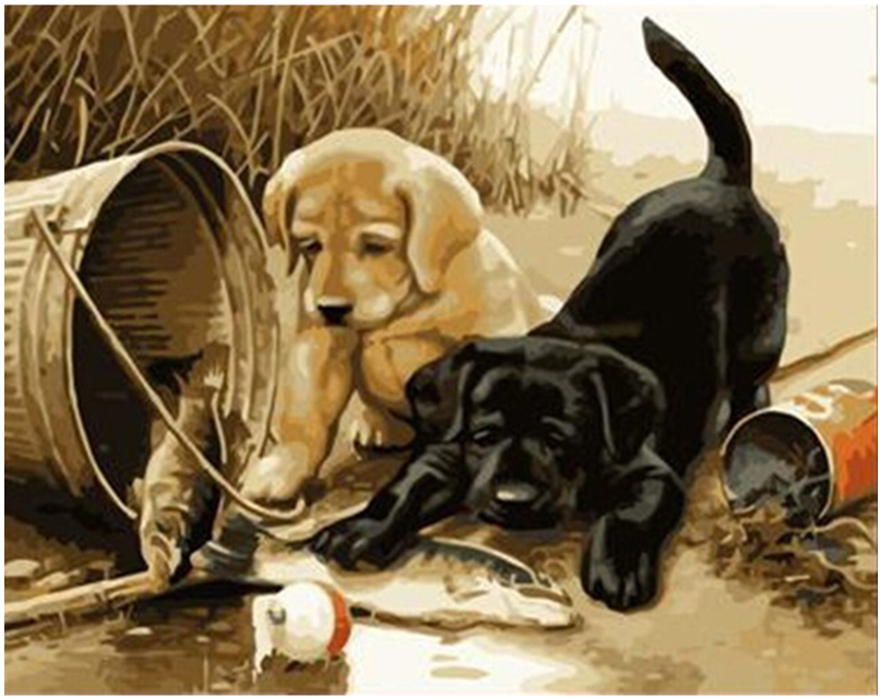 Dog and Fish Acrylic Paint by Number - Home Decor & Craft Kit
