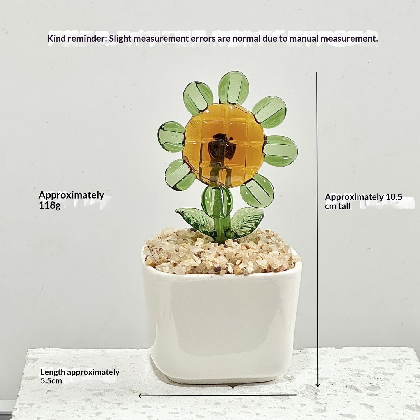 Glass Succulent and Hyacinth Desktop Ornament - Modern Minimalist Home Decor