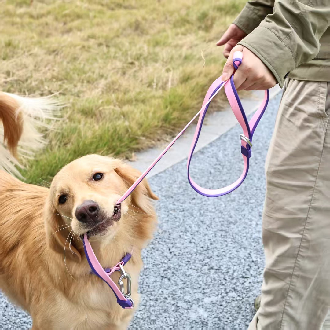 Dual-Color Embossed Pet Leash Set with DIY Accessories - Waterproof & Durable