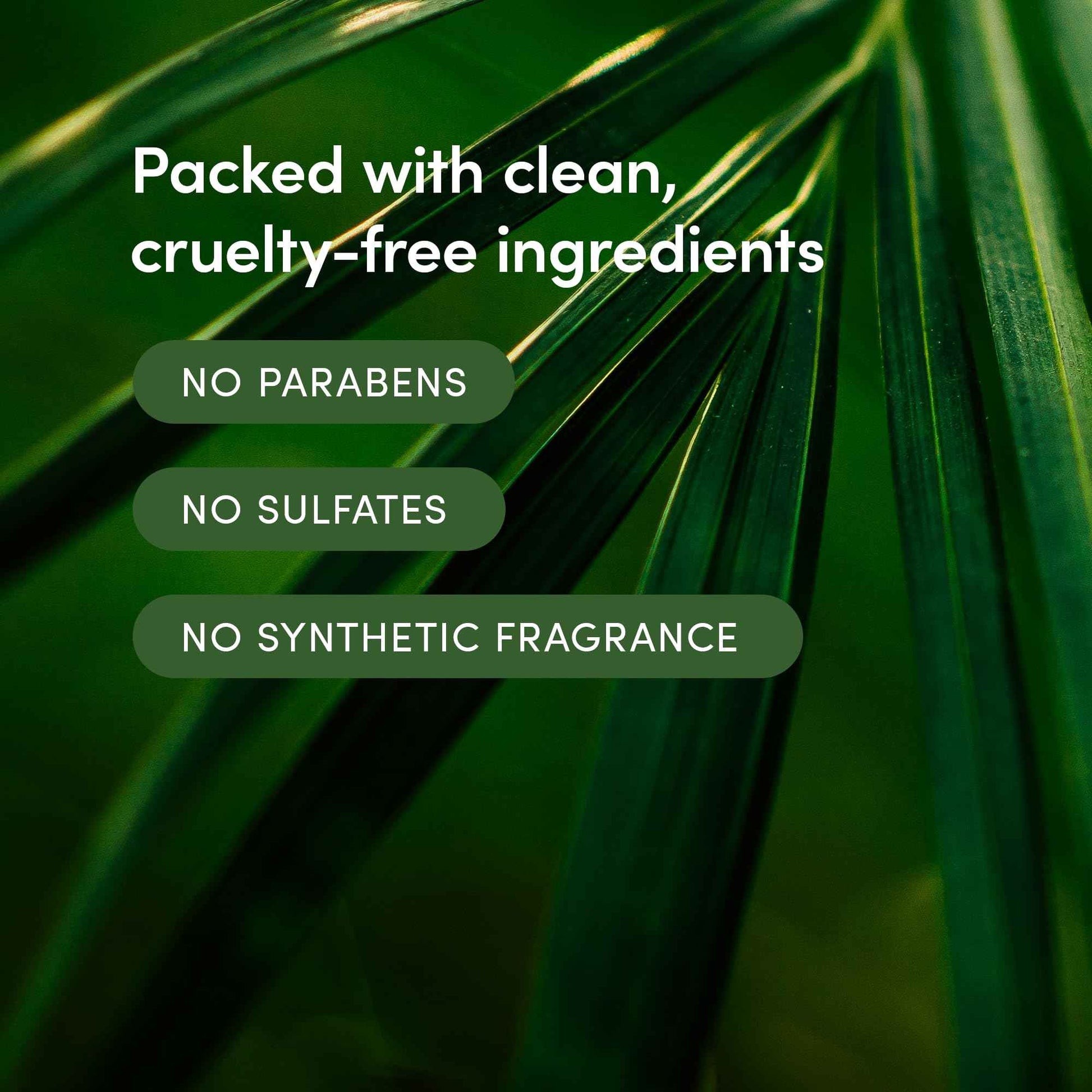 LATHER - Bamboo Lemongrass Crème Rinse, 8 fl oz (2-Pack) - Hair Conditioner - Lightweight Detangler - All Hair Types - Avocado Oil - Sensitive Skin Safe - Vegan & Cruelty Free - Beauty & Hair Care