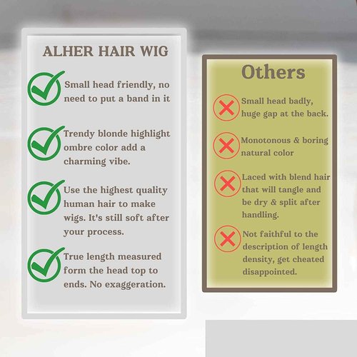 ALHER Honey Blonde Highlight Small Cap 13x4 Lace Front Human Hair Wigs Pre Plucked with Baby Hair Straight 4/27 Balayage Color Transparent Lace Frontal Wig Soft Thick 12A Brazilian Remy Hair 14 Inch