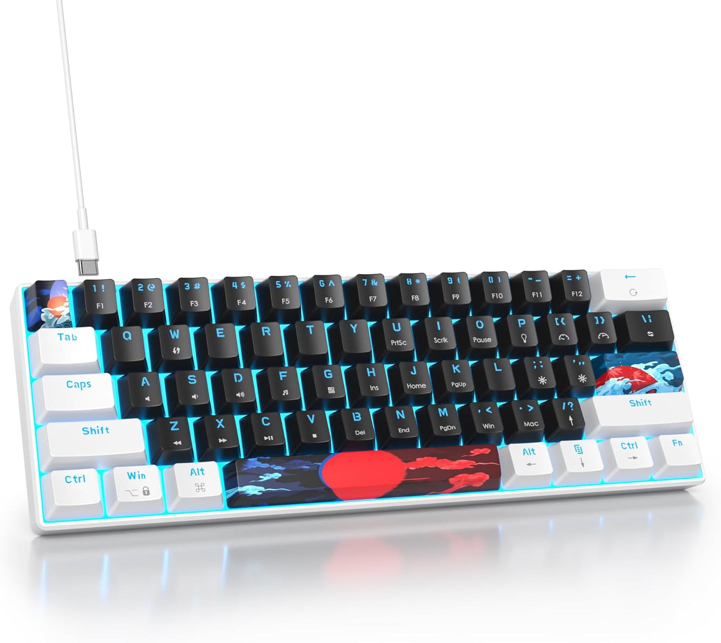 60 Percent Gaming Keyboard 60% Mechanical Keyboard LED Backlit Ultra Compact Wired Keyboard with Red Switch for Windows Laptop Gamer(61 Blue Samurai)