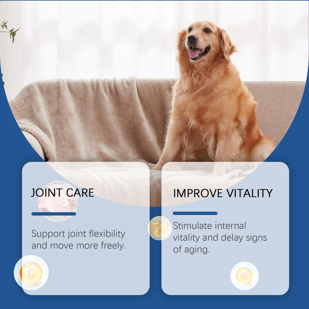 Care Older Dog Calcium Tablets Supplement Nutrition Pet
